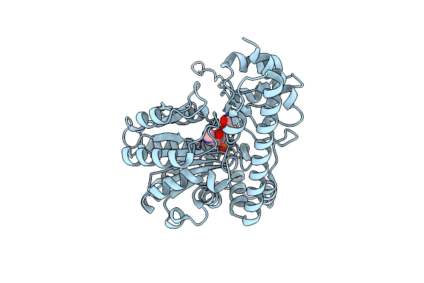 6T3V image