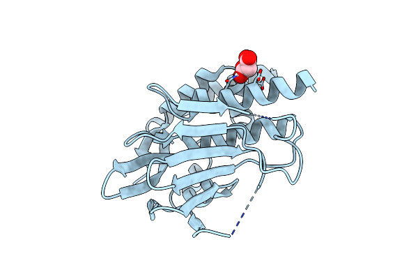 6T3Z image