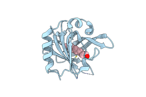 6T42 image
