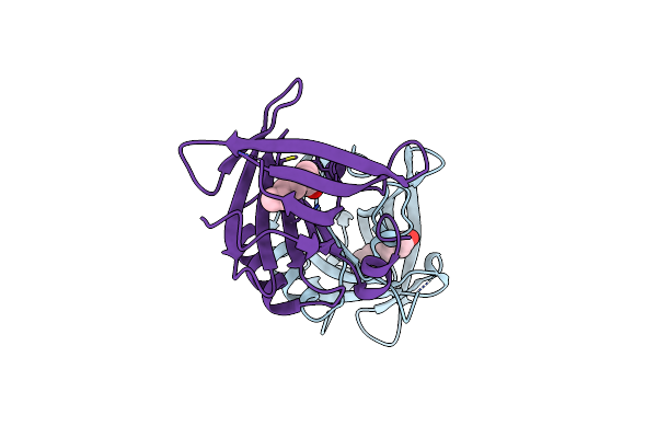 6T44 image
