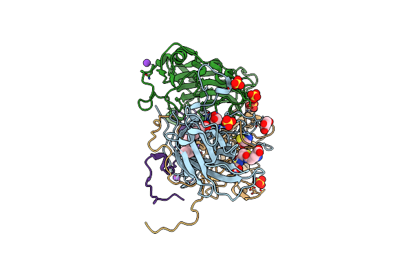 6T48 image