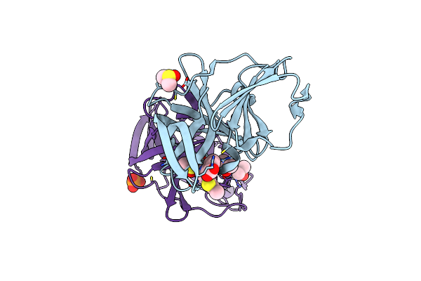6T49 image