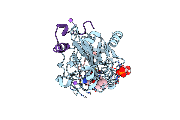 6T4A image