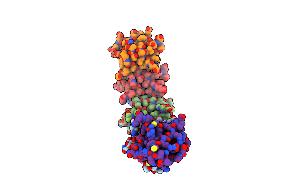 6T4B image