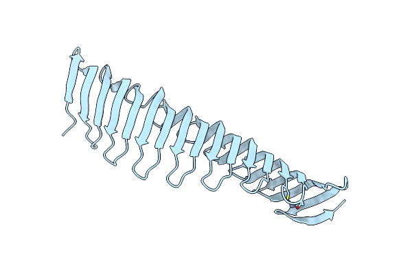 6T4D image