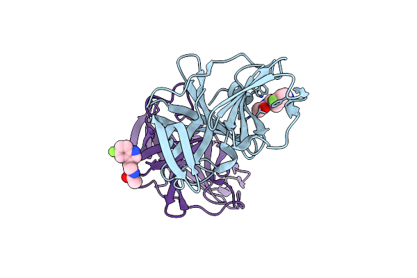 6T4E image
