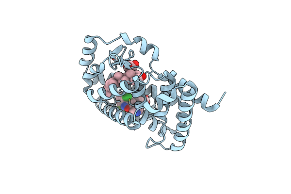 6T4G image