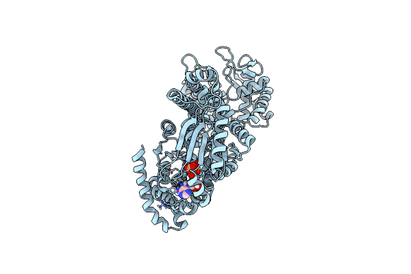 6T4H image