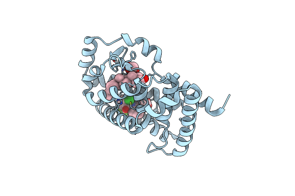 6T4I image