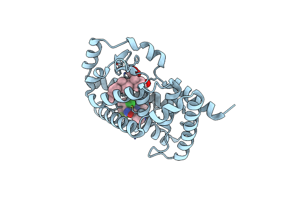 6T4J image