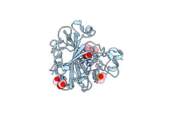 6T4O image