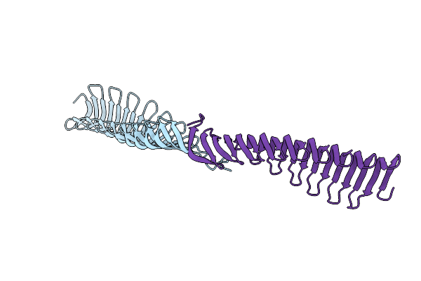 6T4R image