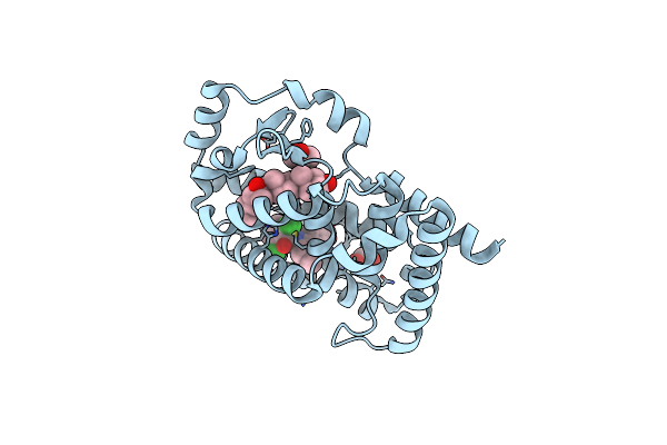 6T4W image