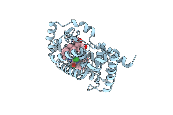 6T4Y image