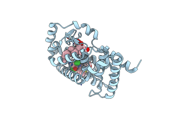 6T50 image