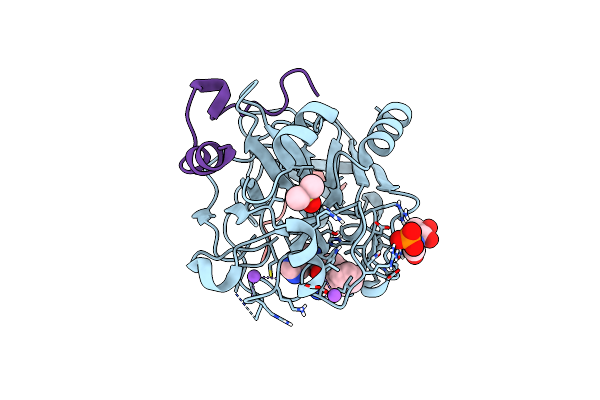 6T52 image