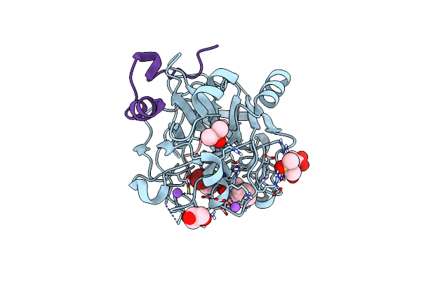 6T54 image
