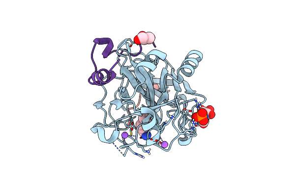 6T55 image