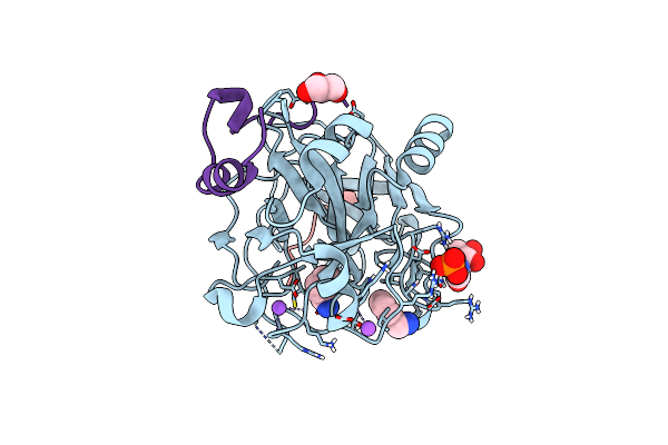 6T56 image