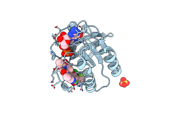 6T5B image