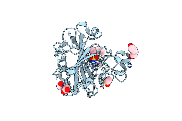 6T5C image