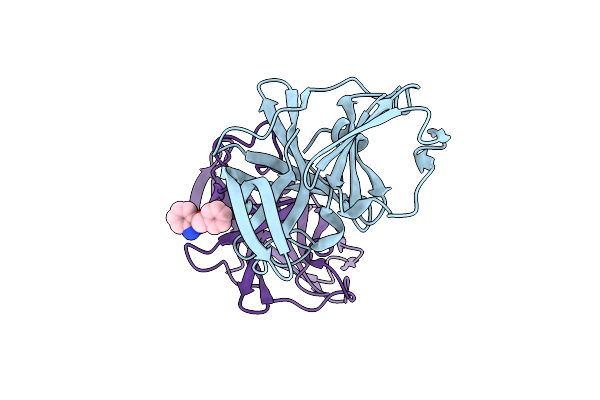 6T5D image