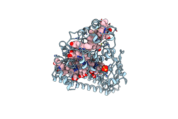 6T5E image