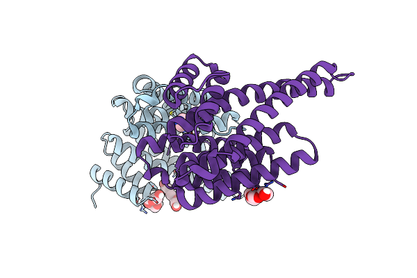 6T5H image