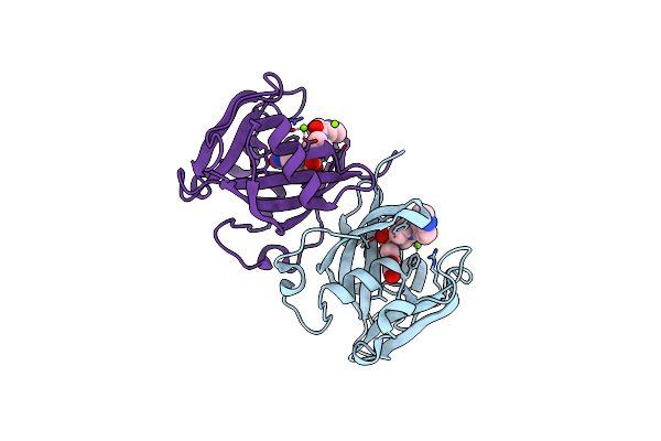 6T5J image