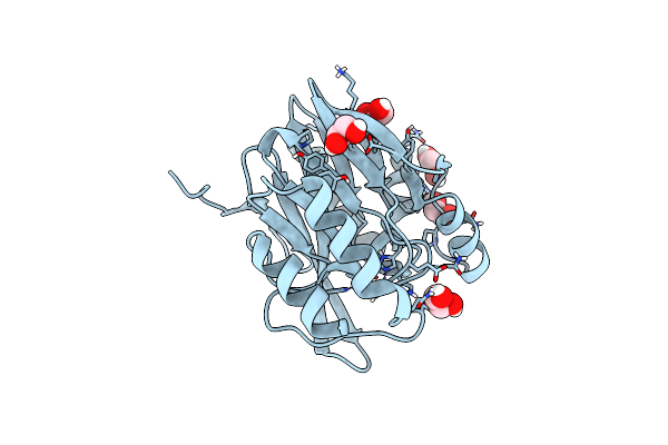 6T5K image