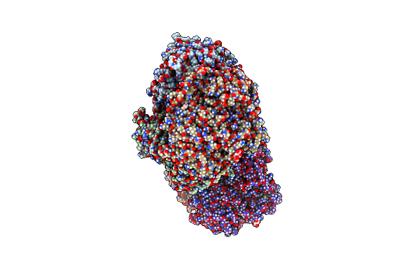 6T5O image