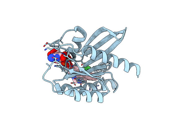 6T5V image