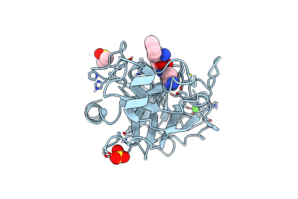 6T5W image