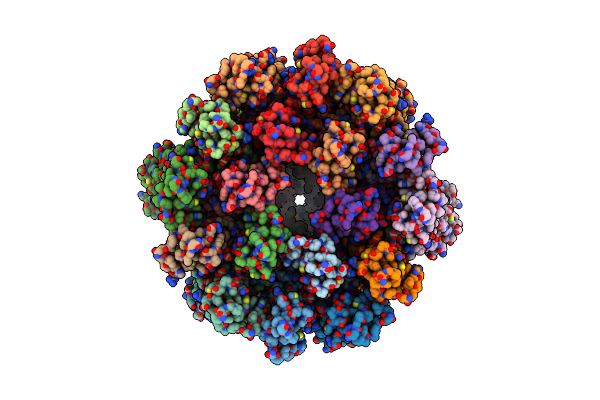 6T61 image