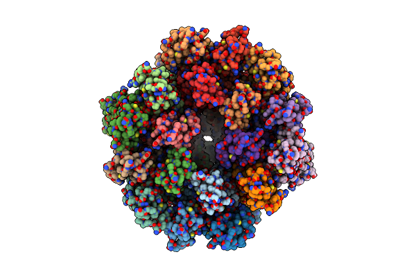 6T63 image