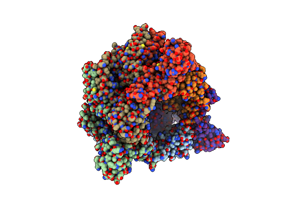6T66 image