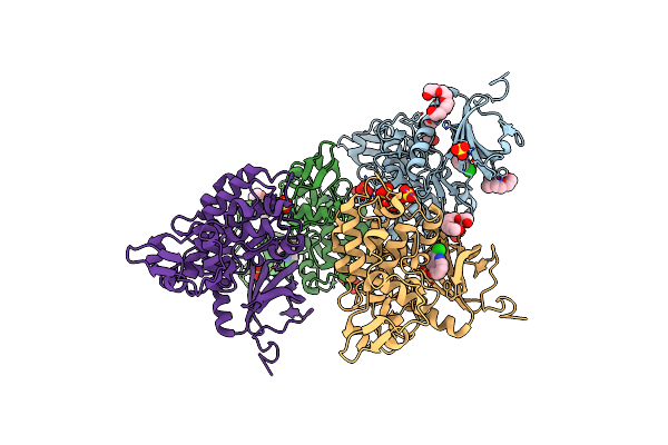 6T6A image