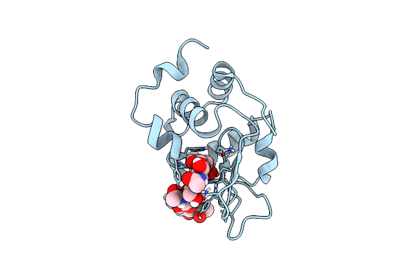 6T6C image