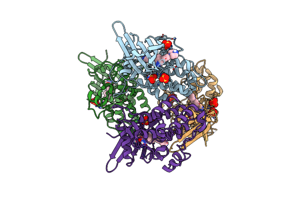 6T6D image