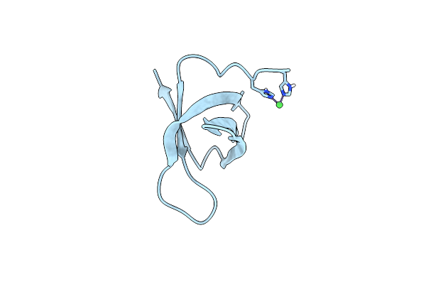 6T6E image