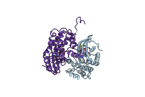 6T6F image