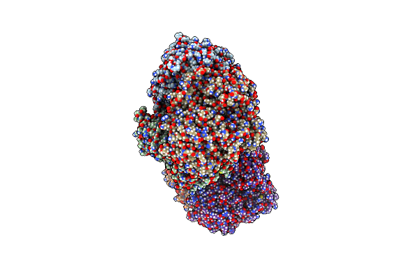 6T6G image