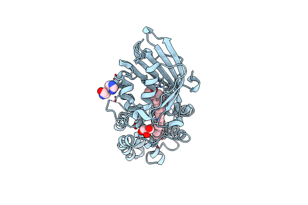6T6M image