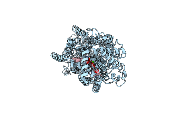 6T6V image