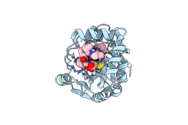 6T6X image