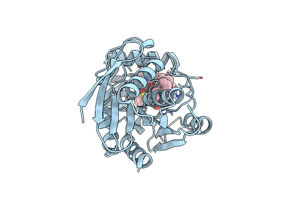 6T6Y image