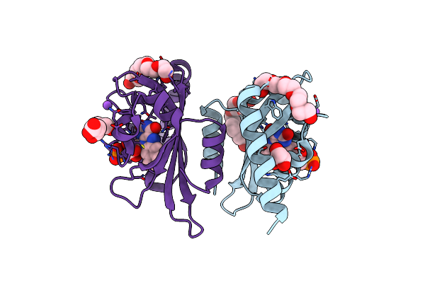 6T74 image