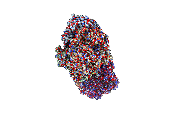 6T75 image