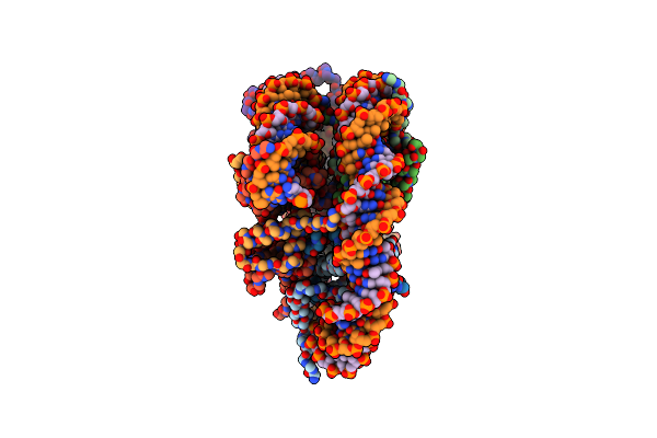 6T7D image