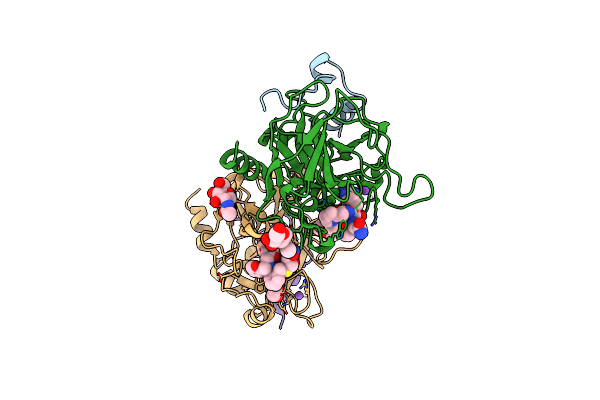 6T7H image